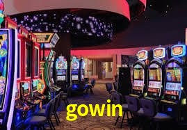 Security Systems gowin